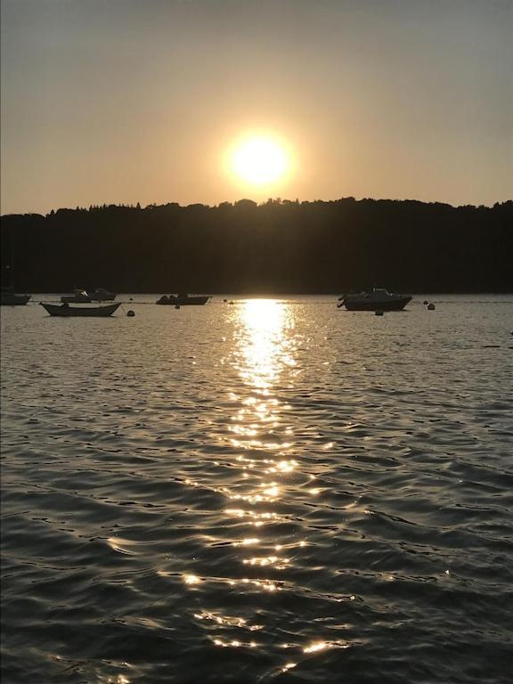 Hébergement de vacances La Maison D'aurelie *